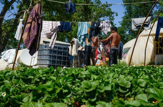 ΝΑ ΚΛΑΨΟΥΜΕ Ή ΝΑ ΒΑΡΑΜΕ ΤΟ ΚΕΦΑΛΙ ΣΕ ΤΟΙΧΟΥΣ…