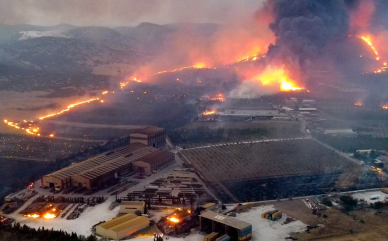 ΕΞΑΣΦΑΛΙΣΜΕΝΟΙ ΣΤΙΣ ΔΗΜΟΚΡΑΤΙΕΣ ΟΙ…ΚΟΜΜΑΤΙΚΟΙ