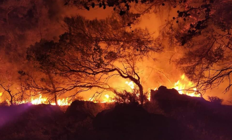 ΠΕΙΝΑΣΜΕΝΟ ΘΗΡΙΟ ΜΕ ΕΠΤΑ ΟΥΡΕΣ