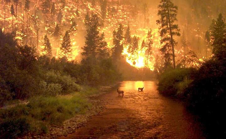 ΣΑΝ ΤΟΥΣ ΑΛΥΣΟΔΕΜΕΝΟΥΣ ΣΤΗ ΦΥΛΑΚΗ ΜΕΣΑ…