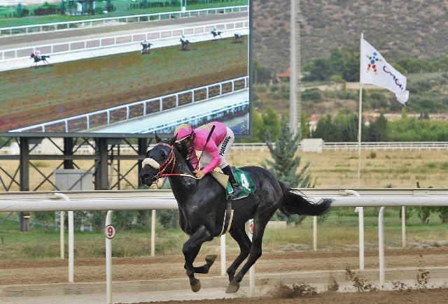 Σημαντικά κέρδη για 14 νικητές σε ΣΚΟΡ 6 και ΤΕΤΡΑΠΛΟ των ελληνικών ιπποδρομιών