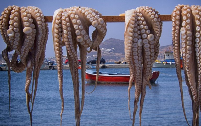 ΣΑΡΔΕΛΑ ΚΑΛΛΟΝΗΣ, ΑΛΛΟ ΠΡΑΜΑ… , ΤΡΩΓΕΤΑΙ ΩΜΗ!