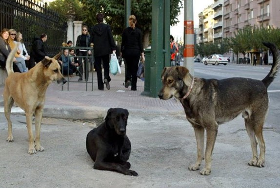 ΣΚΟΤΩΣΕ ΜΕ ΤΟ ΔΙΚΙΟ ΤΟΥ Ο ΠΑΠΑΣ