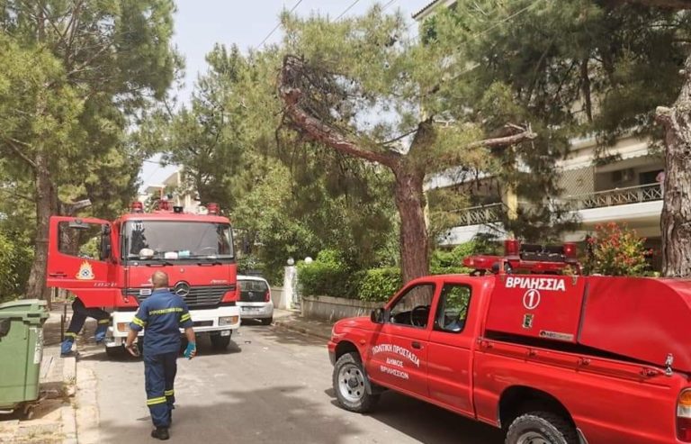 ΑΥΤΟΣ ΕΙΝΑΙ Ο ΕΜΠΡΗΣΤΗΣ ΣΤΙΣ ΠΥΡΚΑΓΙΕΣ!