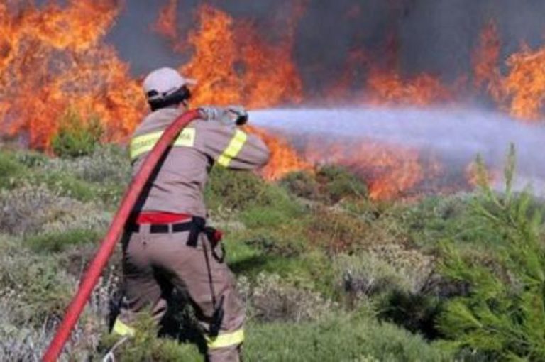 ΤΟ ΠΟΥΡΝΑΡΙ ΟΣΟ ΚΡΑΤΗΣΕΙ ΜΕΤΑ ΤΗΝ ΚΟΛΑΣΗ ΤΗΣ ΠΥΡΚΑΓΙΑΣ