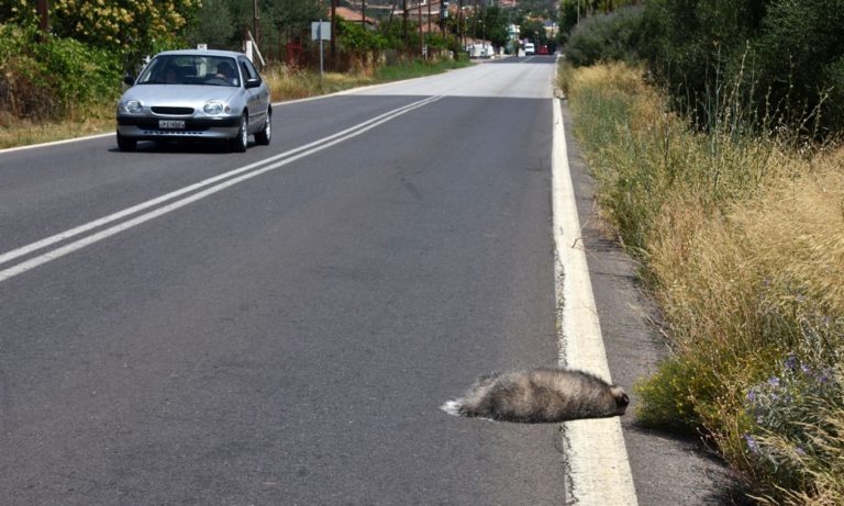 ΔΥΣΦΗΜΙΣΗ ΤΗΣ ΕΛΛΑΔΟΣ, ΚΑΙ ΤΩΝ ΕΛΛΗΝΩΝ