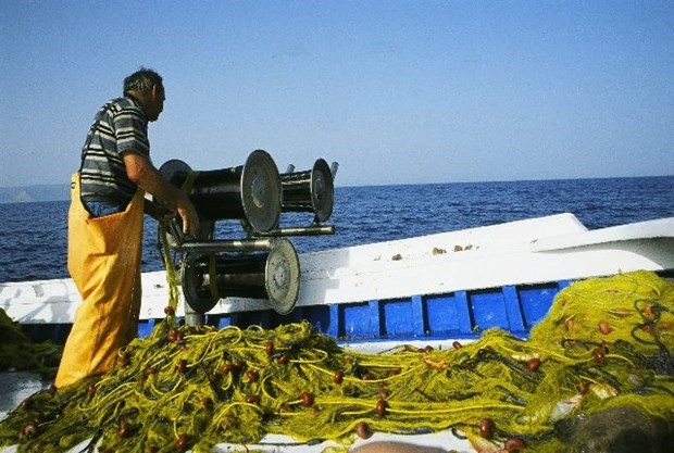 ΓΕΝΝΗΘΗΚΑΜΕ ΧΑΖΟΙ ΚΑΙ ΑΔΑΕΙΣ, ΟΧΙ ΤΥΧΕΡΟΙ ΨΑΡΑΔΕΣ…