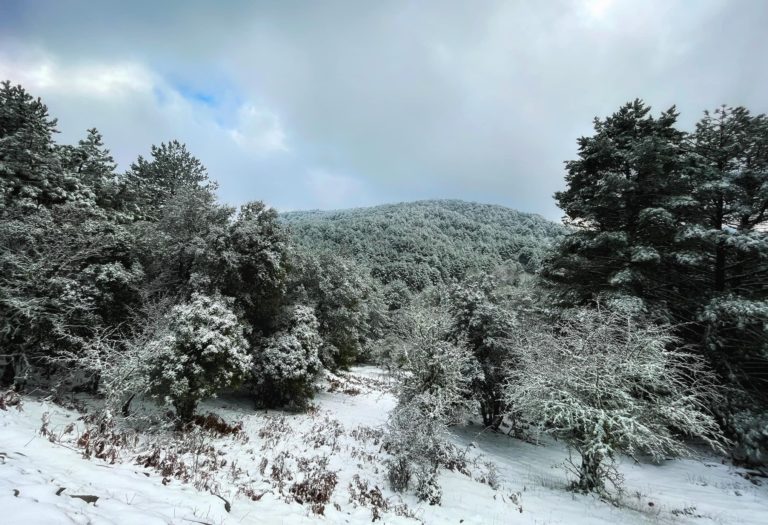 ΤΑ ΦΑΝΤΑΣΜΑΤΑ ΦΟΡΑΝΕ ΧΙΤΩΝΕΣ ΛΕΥΚΟΥΣ…