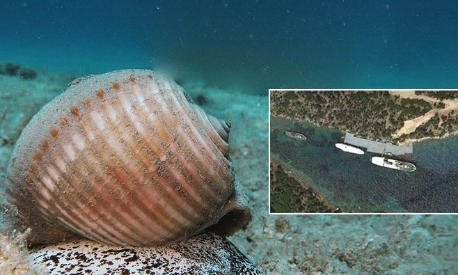 ΚΡΑΤΙΚΕΣ ΥΠΗΡΕΣΙΕΣ ΑΔΙΑΦΟΡΟΥΝ ΓΙΑ ΑΠΟΦΑΣΗ ΤΟΥ ΚΡΑΤΟΥΣ